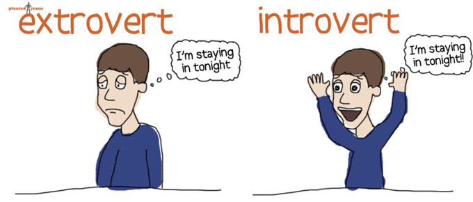 Hasil gambar untuk kutipan introvert